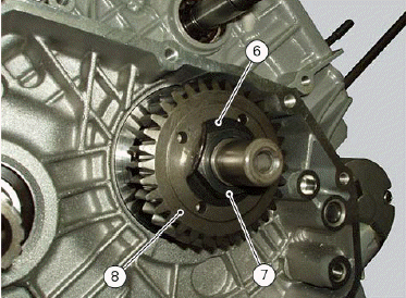 Clutch assembly: primary drive gears