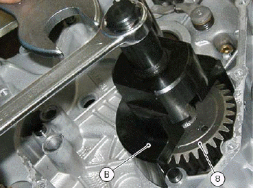 Clutch assembly: primary drive gears