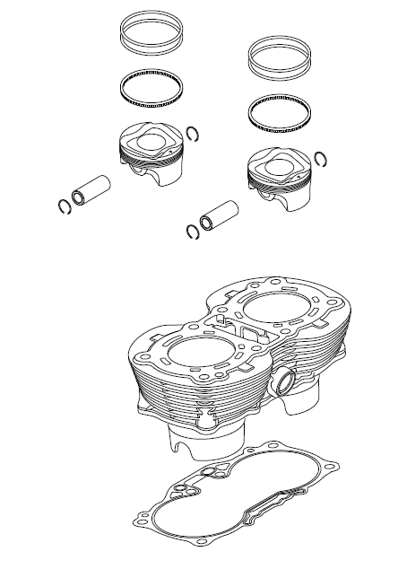 Exploded View - Barrels and Pistons
